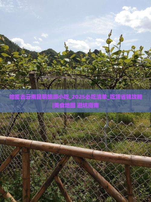 哈密去云南昆明旅游小吃