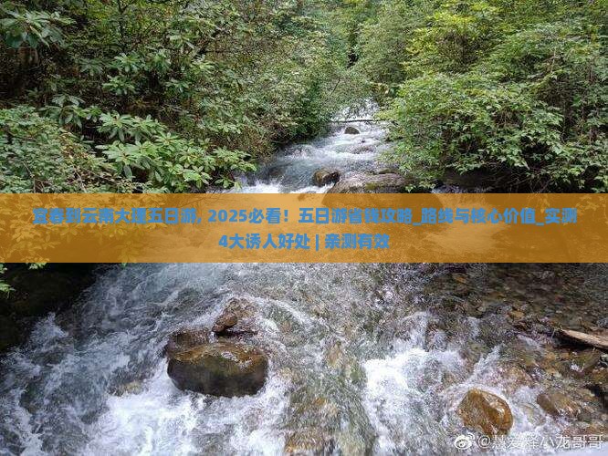 宜春到云南大理五日游