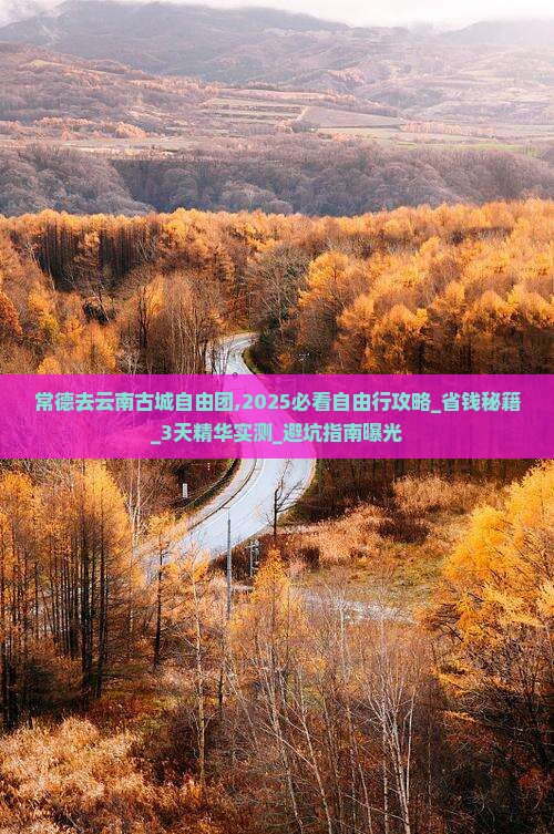 常德去云南古城自由团
