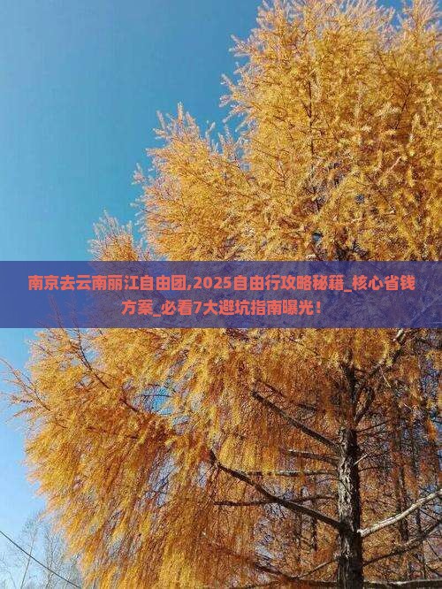 南京去云南丽江自由团