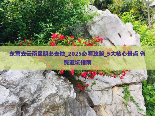 东营去云南昆明必去地