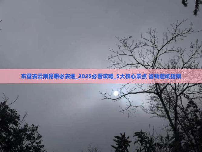 东营去云南昆明必去地
