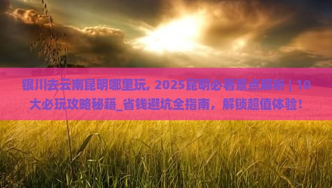 银川去云南昆明哪里玩