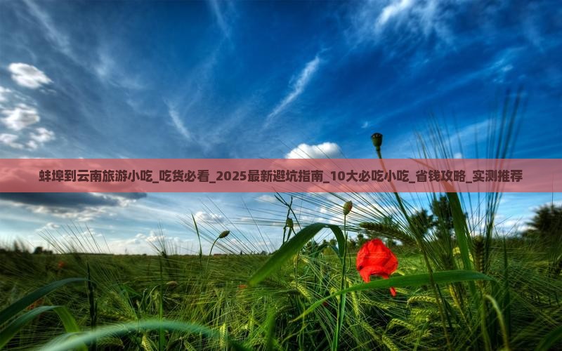 蚌埠到云南旅游小吃