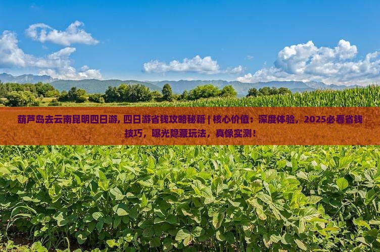 葫芦岛去云南昆明四日游