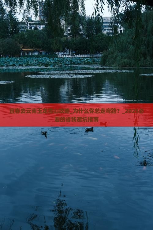 宜春去云南玉龙雪山攻略
