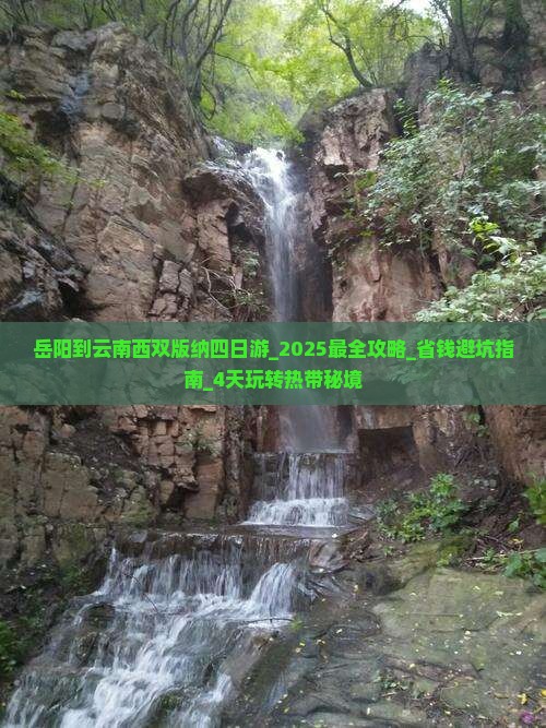 岳阳到云南西双版纳四日游