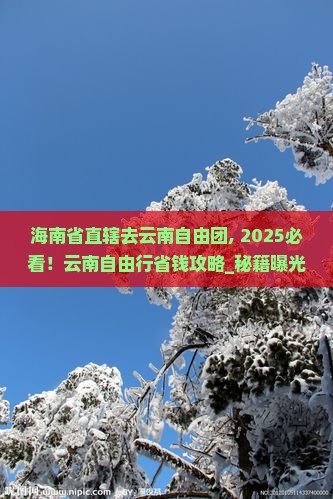 海南省直辖去云南自由团