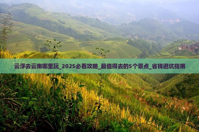 云浮去云南哪里玩