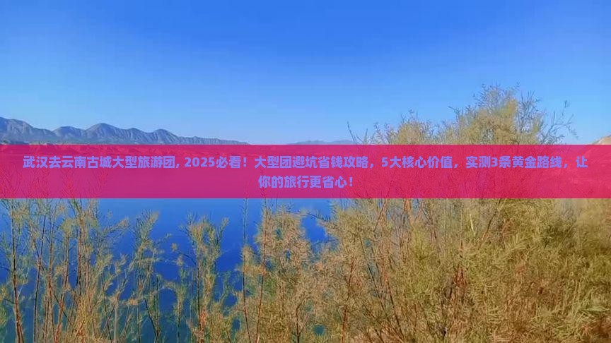 武汉去云南古城大型旅游团