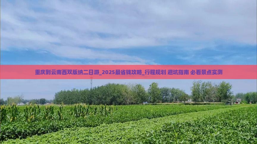 重庆到云南西双版纳二日游