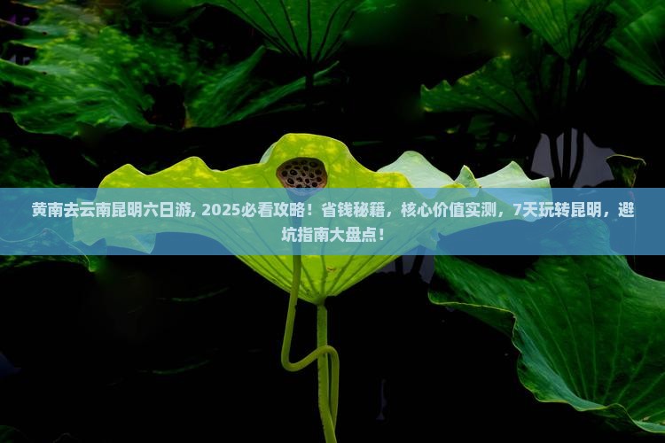 黄南去云南昆明六日游