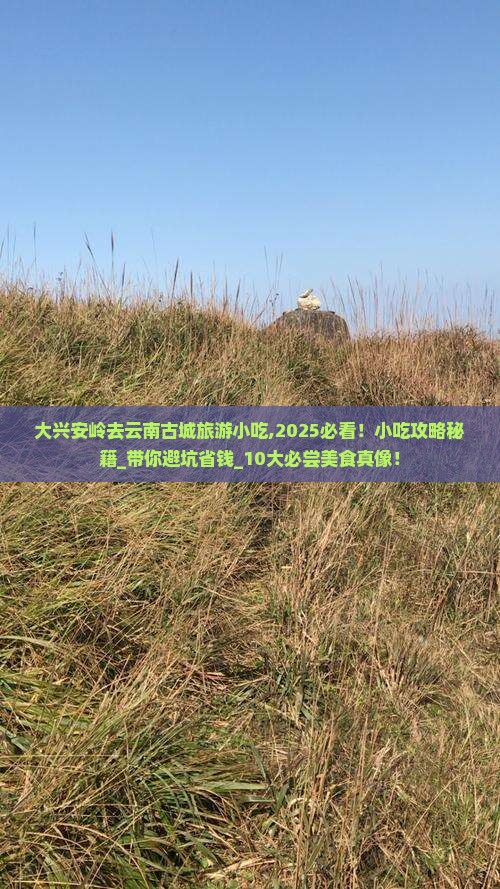 大兴安岭去云南古城旅游小吃