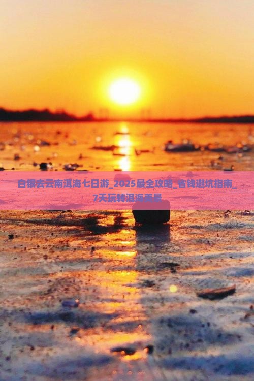 白银去云南洱海七日游