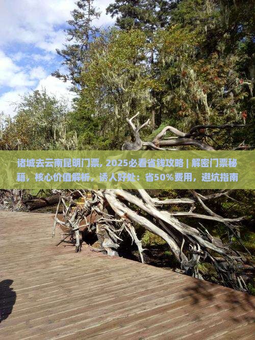 诸城去云南昆明门票