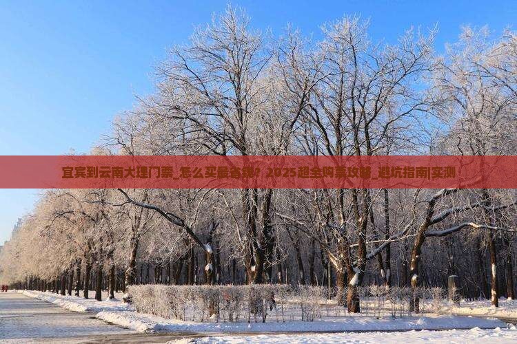 宜宾到云南大理门票