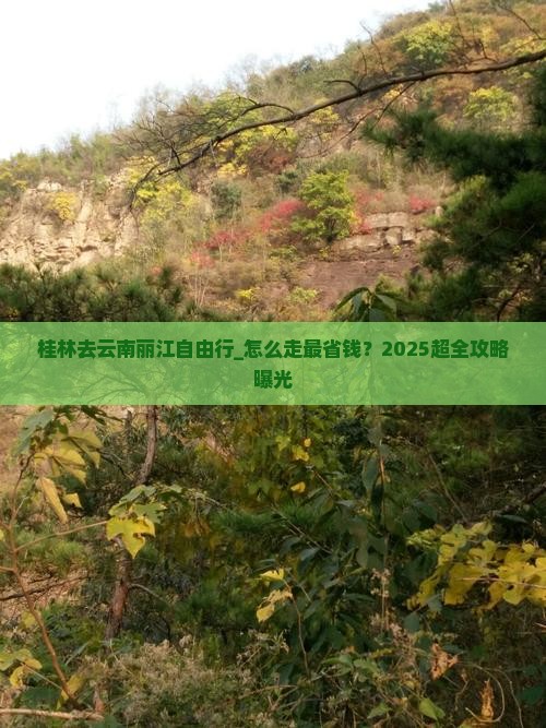桂林去云南丽江自由行