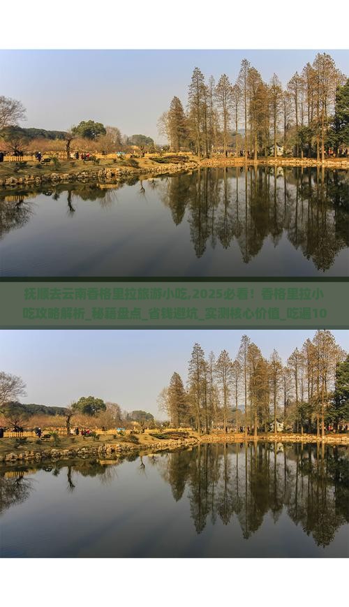 抚顺去云南香格里拉旅游小吃