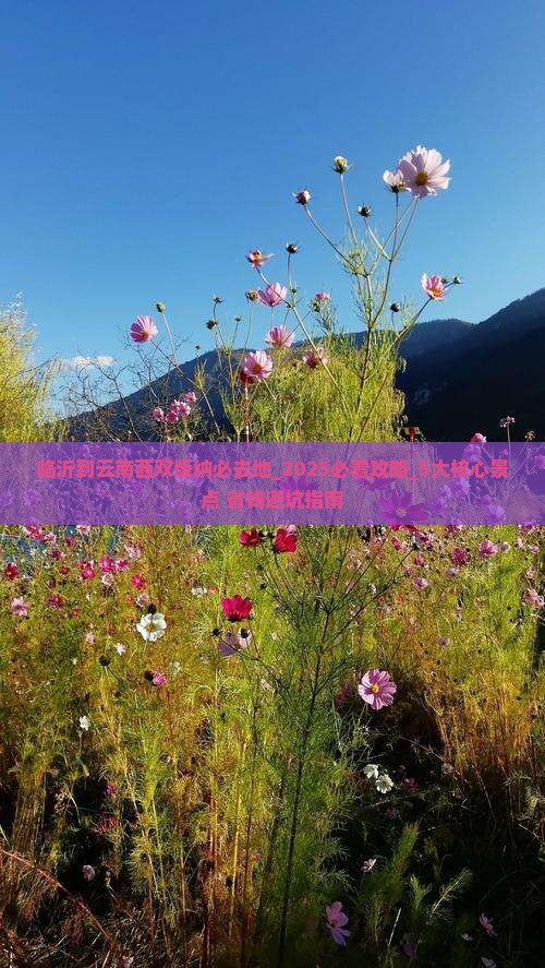 临沂到云南西双版纳必去地