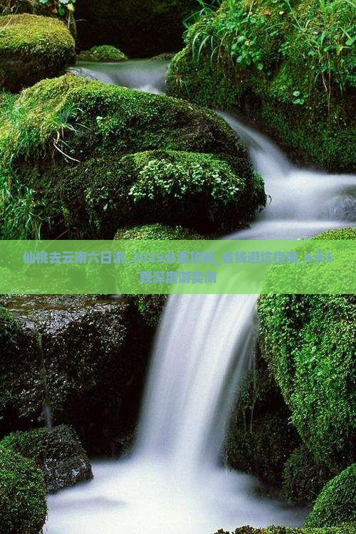 仙桃去云南六日游