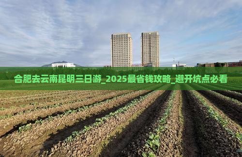 合肥去云南昆明三日游