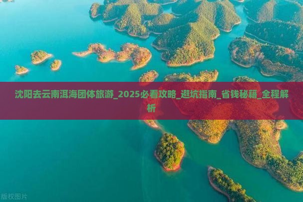 沈阳去云南洱海团体旅游