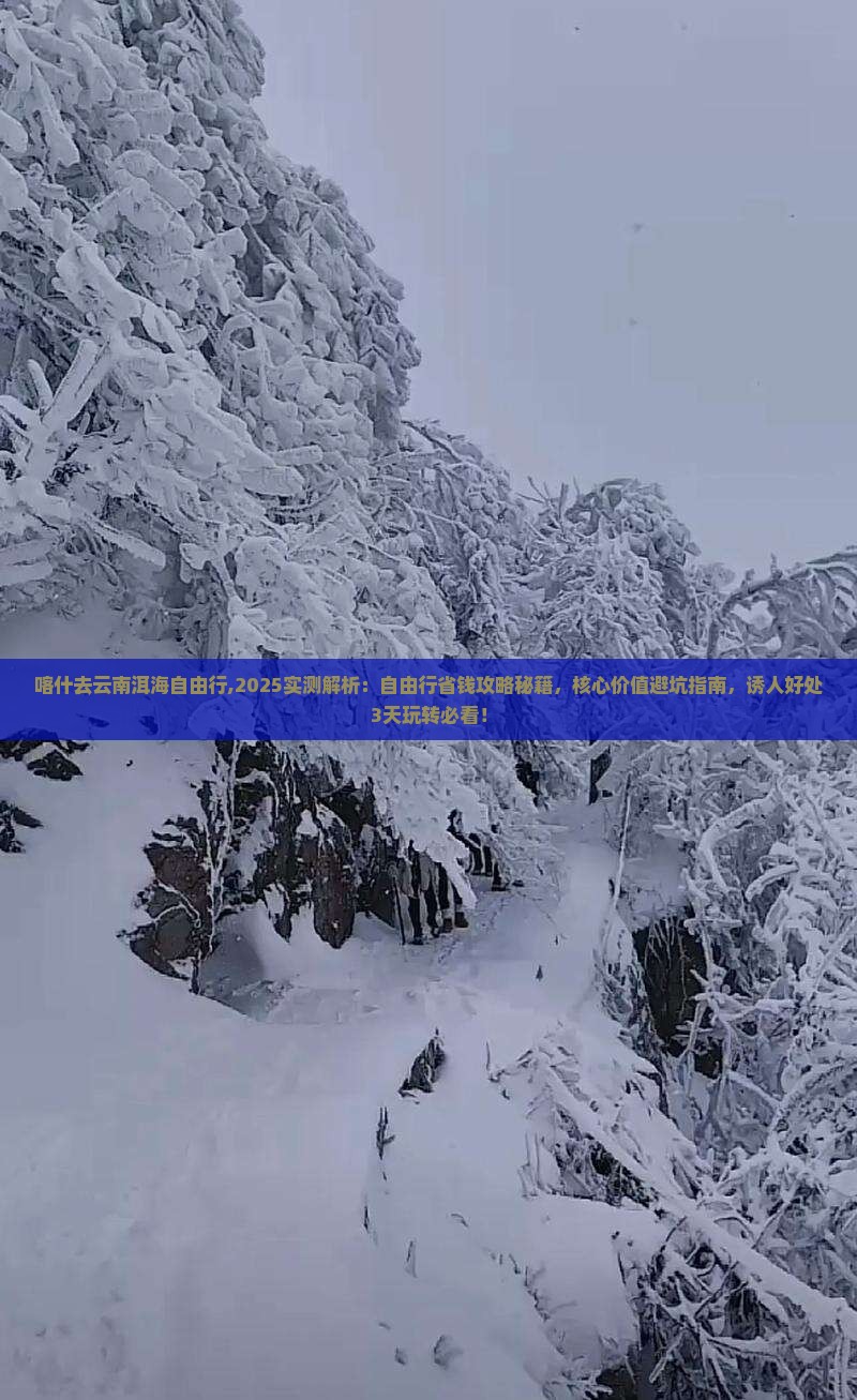 喀什去云南洱海自由行