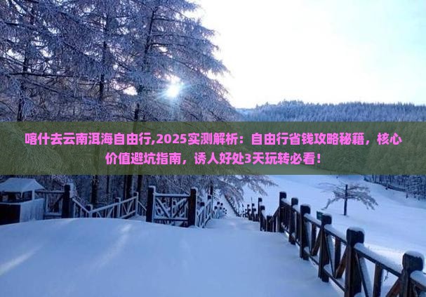 喀什去云南洱海自由行