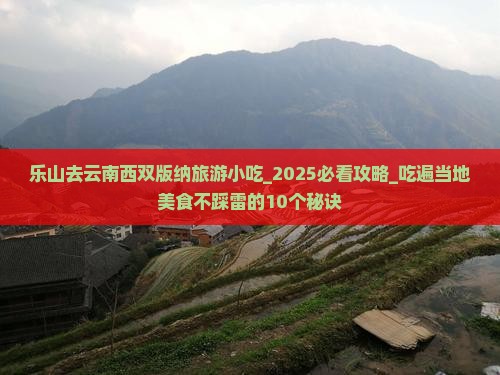 乐山去云南西双版纳旅游小吃