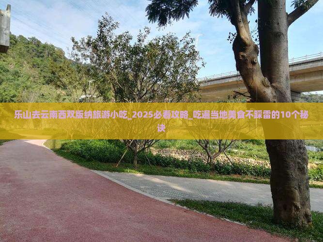 乐山去云南西双版纳旅游小吃