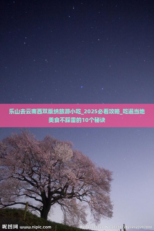乐山去云南西双版纳旅游小吃