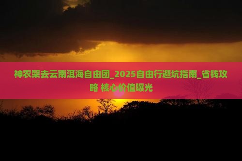 神农架去云南洱海自由团