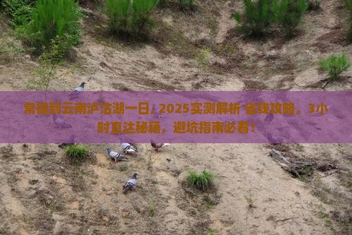 常德到云南泸沽湖一日
