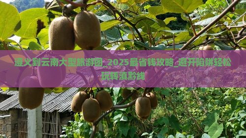 遵义到云南大型旅游团