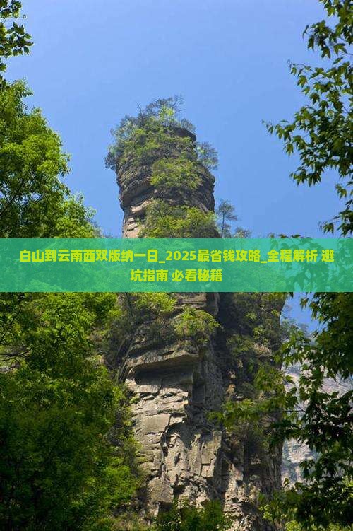 白山到云南西双版纳一日