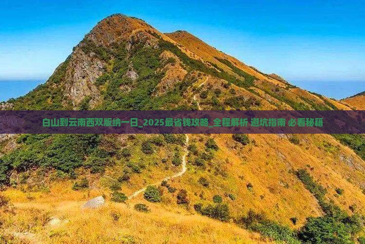 白山到云南西双版纳一日