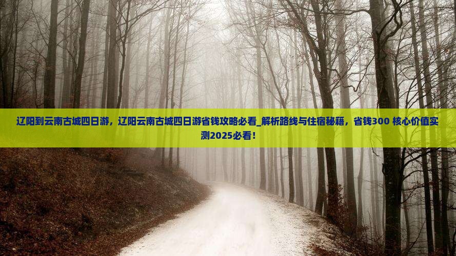 辽阳到云南古城四日游