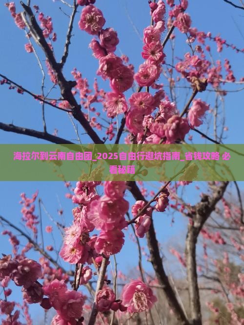 海拉尔到云南自由团