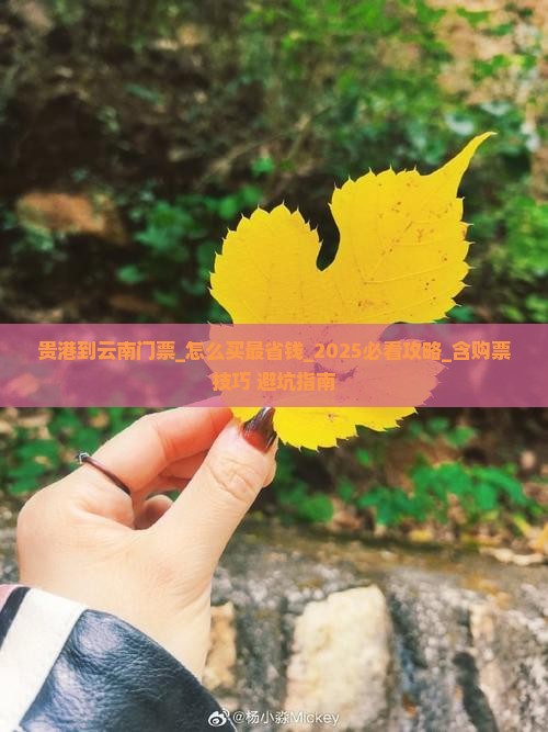 贵港到云南门票