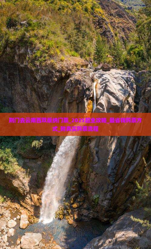 荆门去云南西双版纳门票