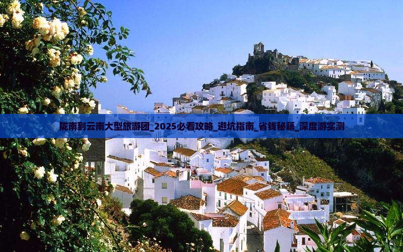 陇南到云南大型旅游团