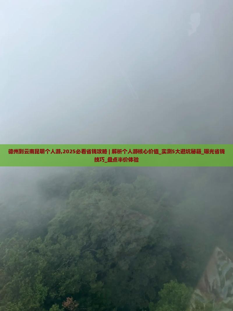 德州到云南昆明个人游
