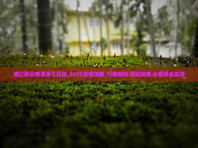 通辽到云南洱海七日游