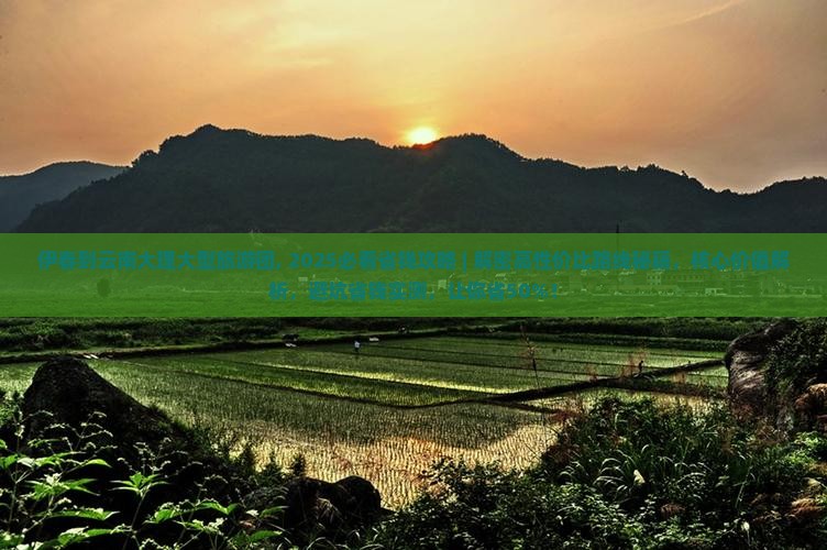 伊春到云南大理大型旅游团