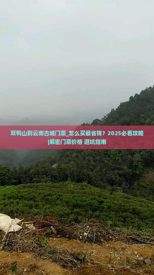 双鸭山到云南古城门票