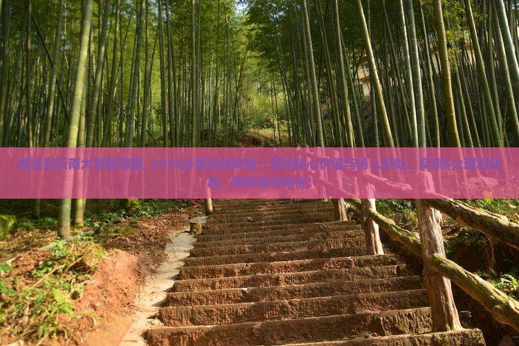 韶关到云南大型旅游团