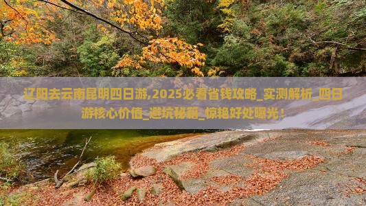 辽阳去云南昆明四日游 辽阳去云南昆明四日游