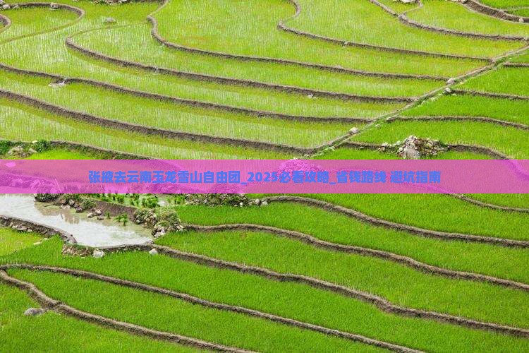 张掖去云南玉龙雪山自由团 张掖去云南玉龙雪山自由团
