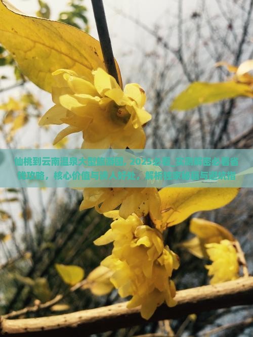 仙桃到云南温泉大型旅游团