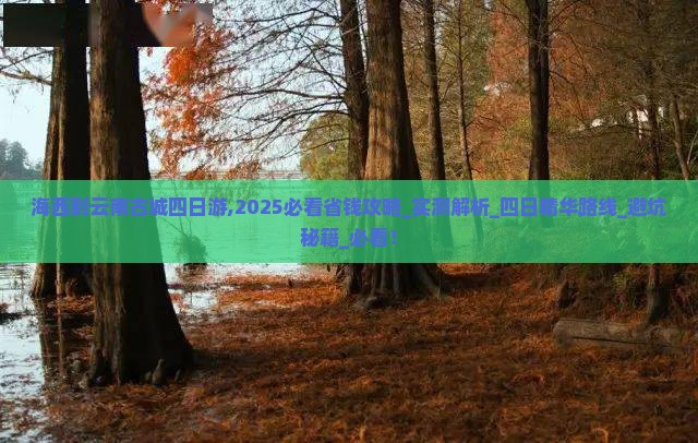 海西到云南古城四日游